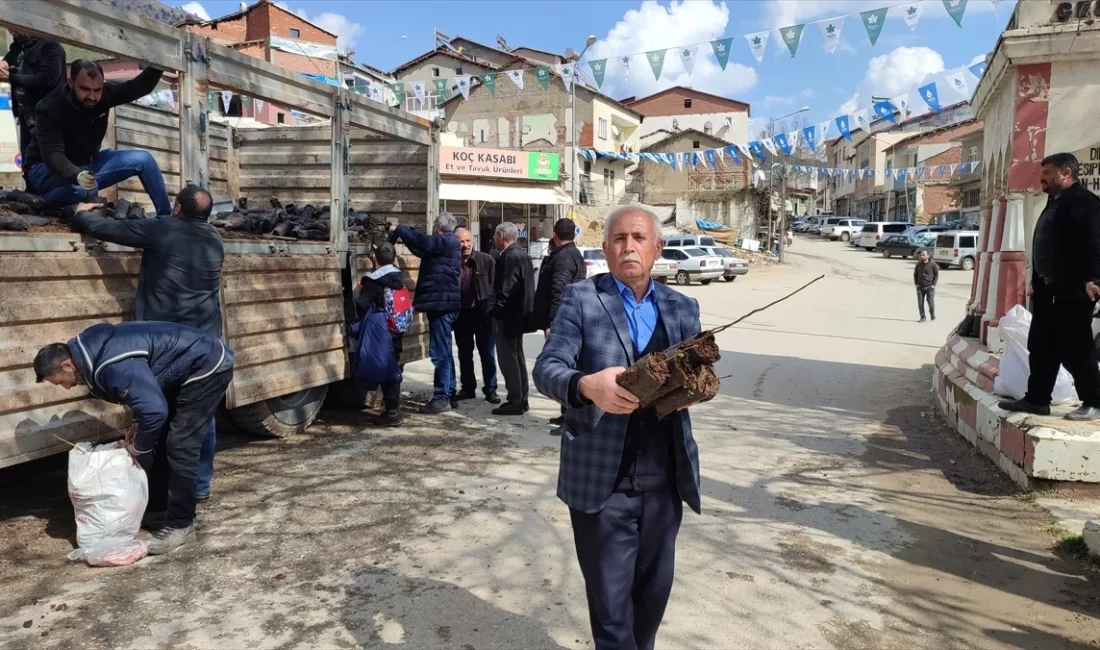 Adıyaman'ın Çelikhan ilçesinde Orman