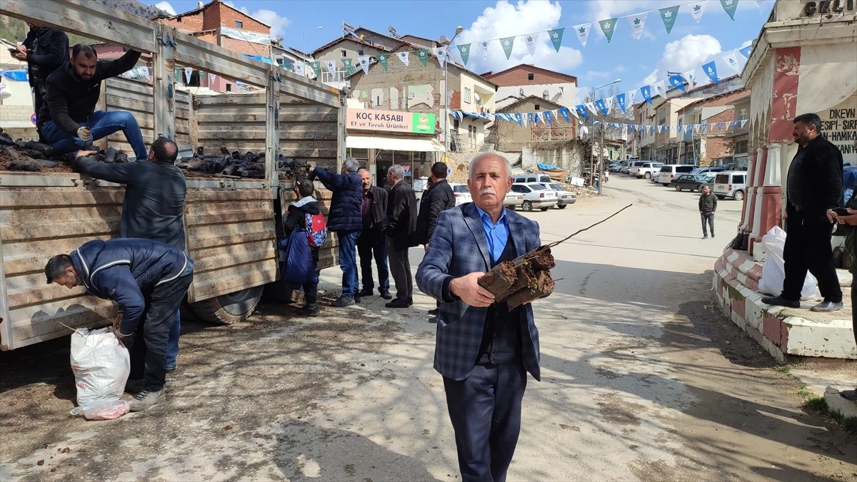 Çelikhan’da Üreticilere 4 Bin Tüplü Ceviz Fidanı Dağıtıldı