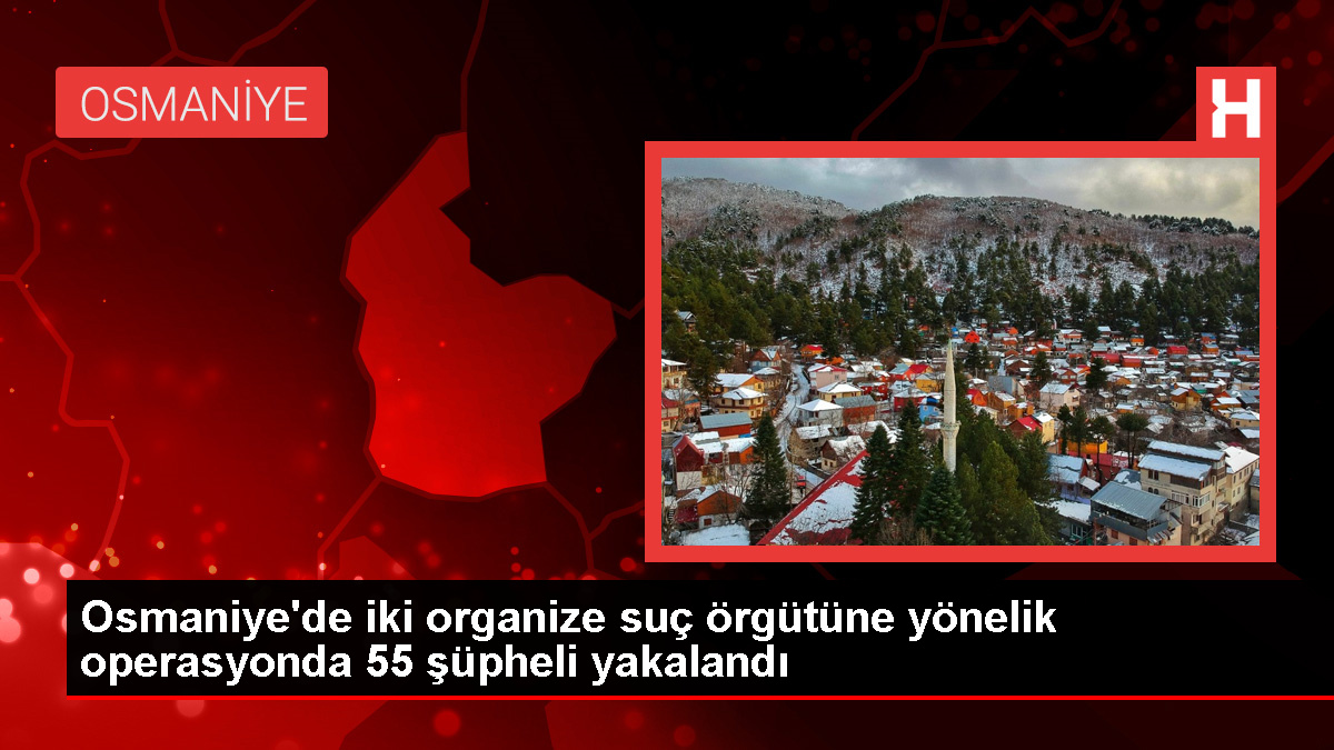 İçişleri Bakanı: Osmaniye’de 2 Organize Hata Örgütü Çökertildi