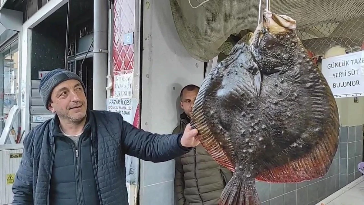 Karadeniz’de Az Görülen Kalkan Balığı 7 Bin TL’ye Satıldı