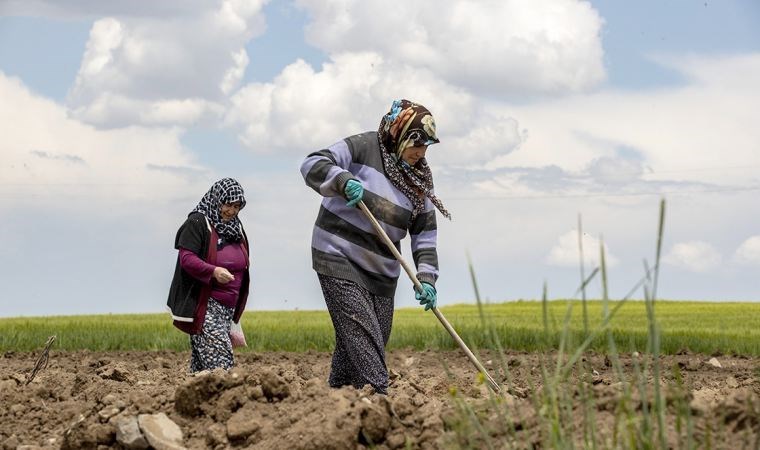 Market ve üreticide fiyatlar tam gaz artarken fark da açılıyor: Narenciyede fark yüzde 634 oldu