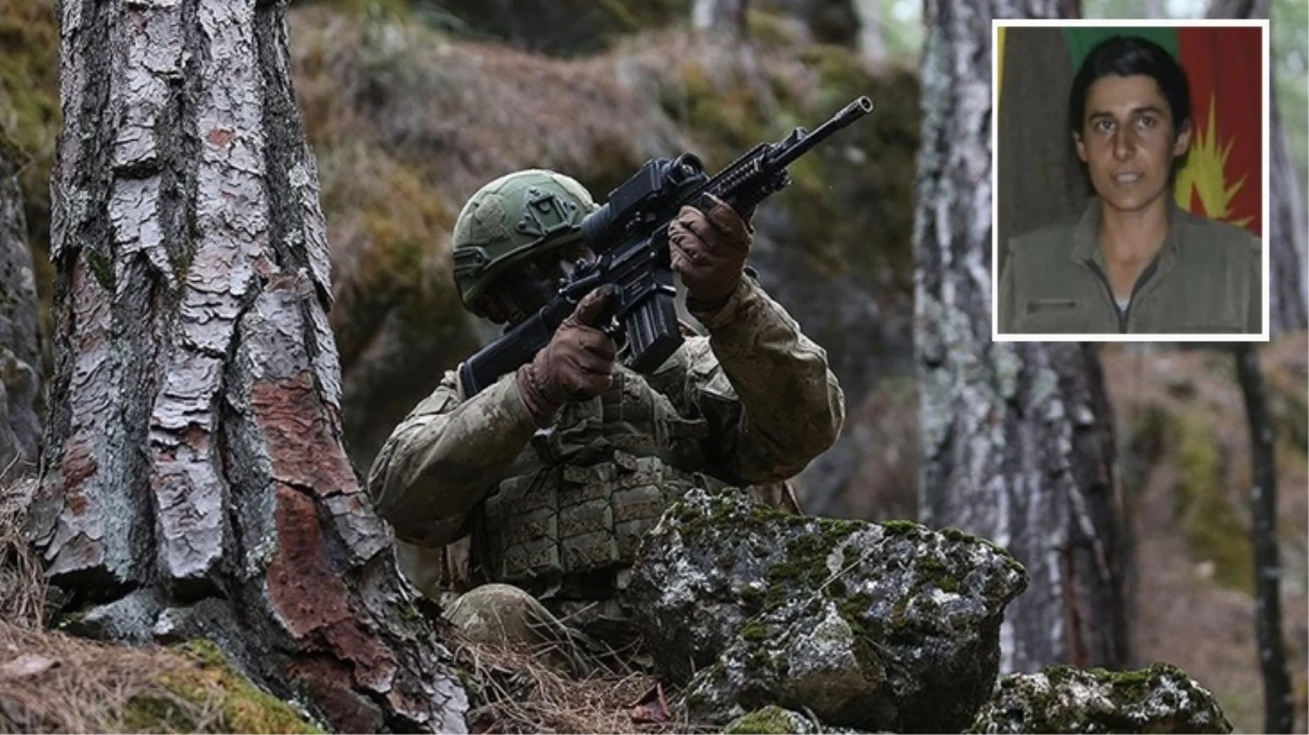 MİT, PKK’nın kelamda sorumlusu Gülsün Silgir’i etkisiz hale getirdi