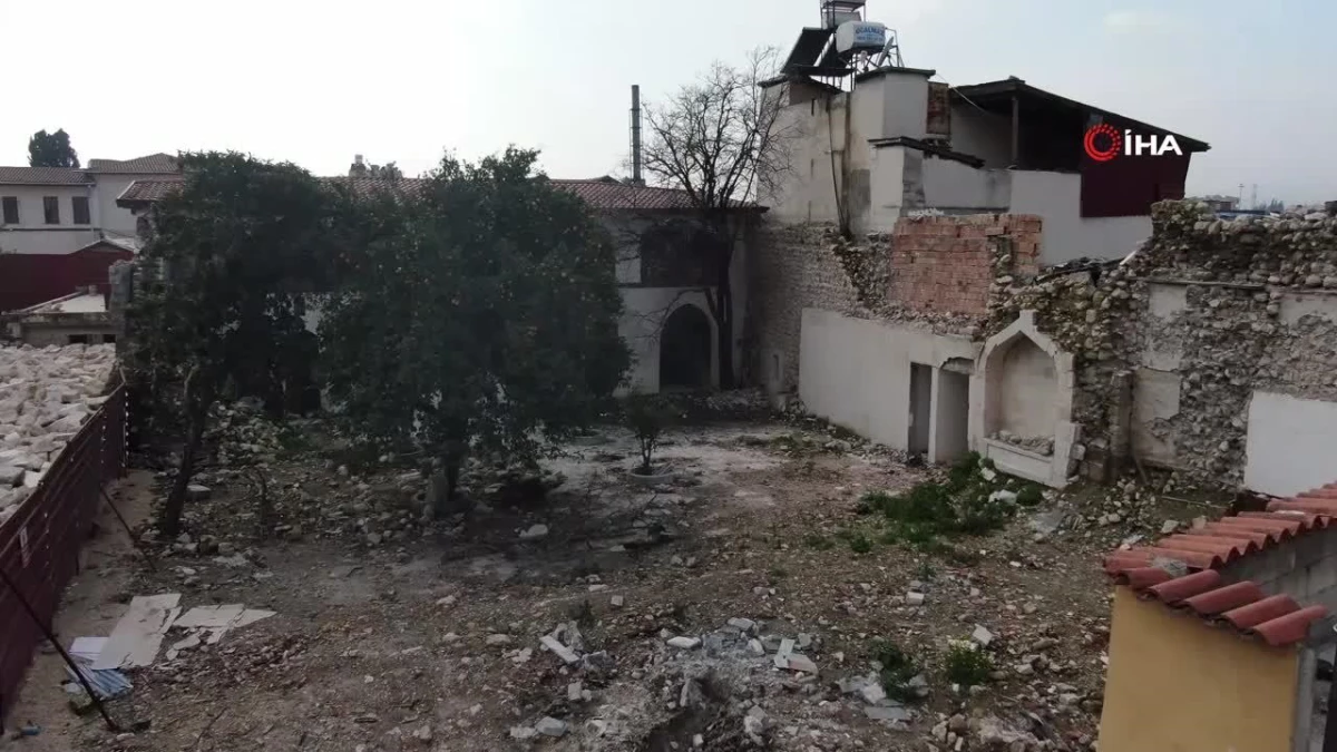 Sarsıntının Vurduğu Hatay’da Narenciyeler Kısımlarda Çürümeyi Bekliyor